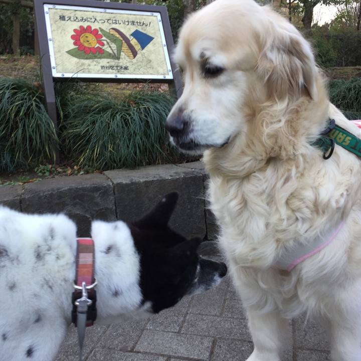 463a5fe1 7d28 46a1 95bb 1a2398c533a3