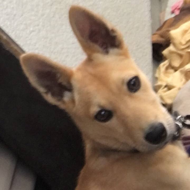 463aba33 7871 488e 85c7 34b3b1c0038e