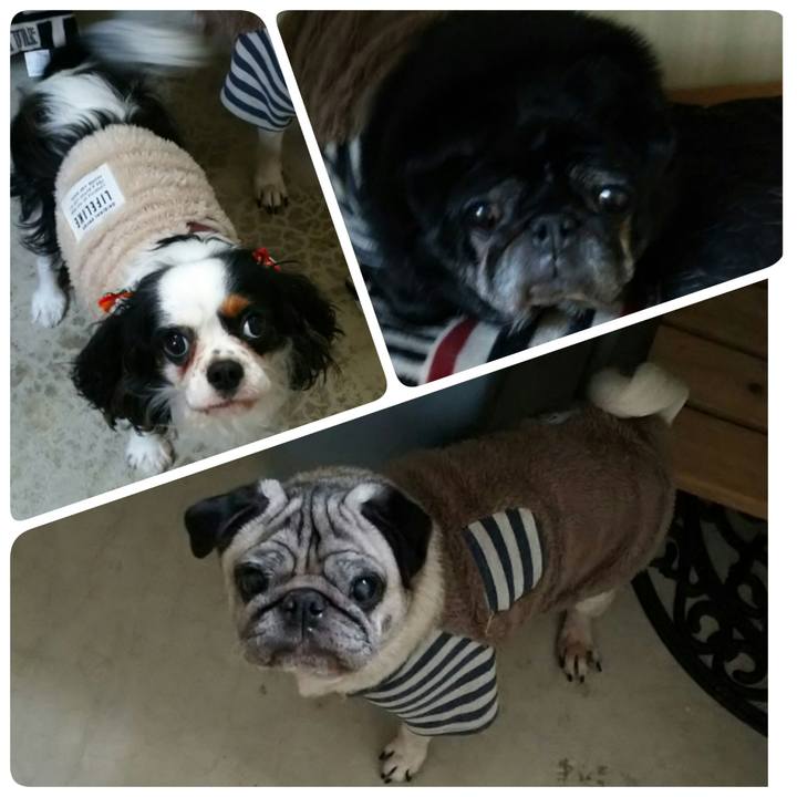 463b9f5c 29e8 4862 b3bc 7130613ff74d