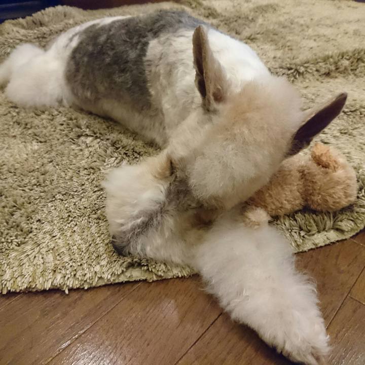 463c53ff 4cd7 40b2 9b00 90922cf0b037