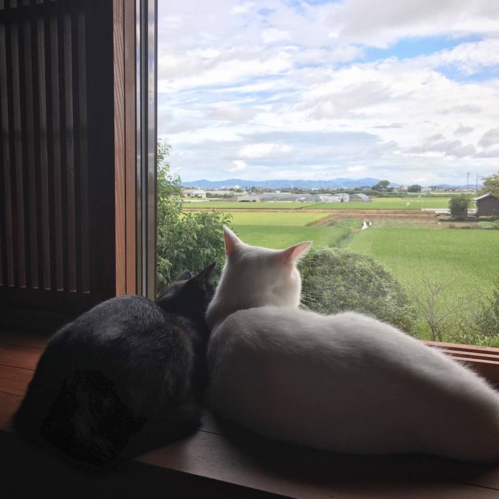 463cf47c 04f5 4d3a a5b2 df743857f497