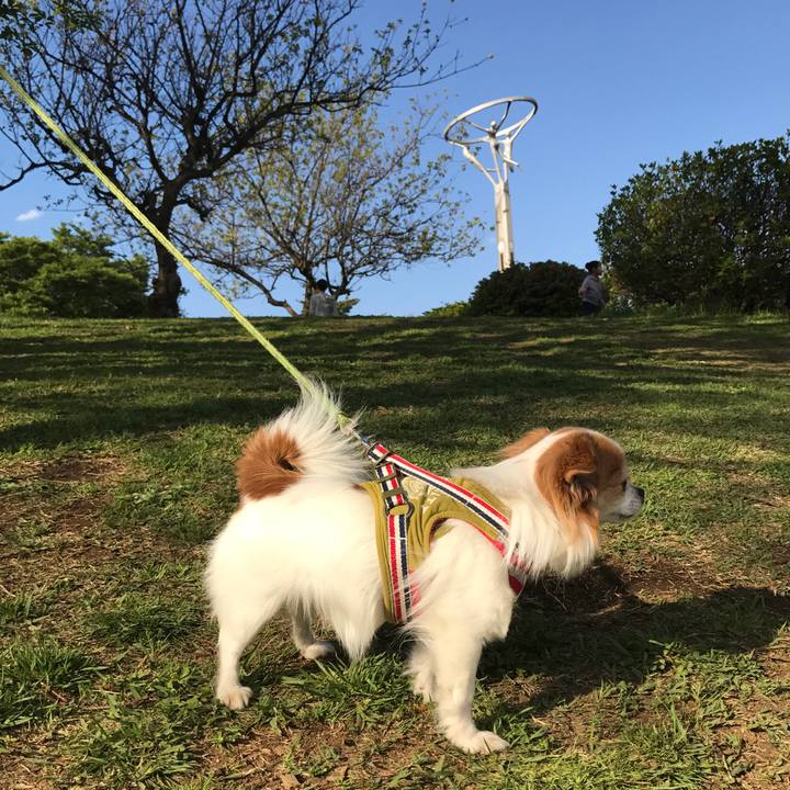 463d03e1 8704 466e b21a 09058d7dea4e