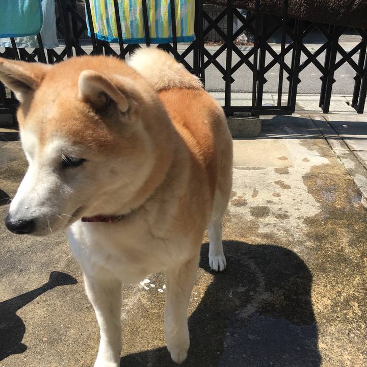 463d54a5 3c6e 4fed 9550 13173a5ec708