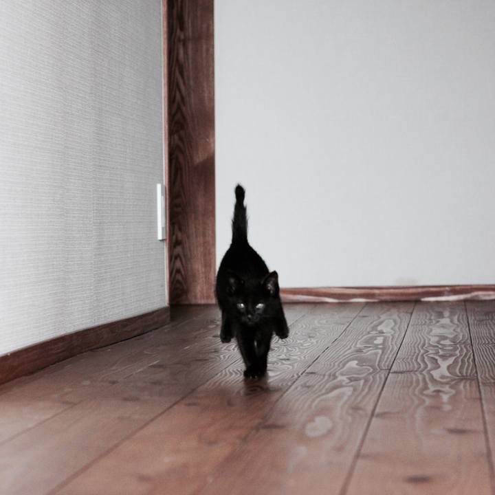 463d606c e07b 4e10 bf98 d83d67d6e62c