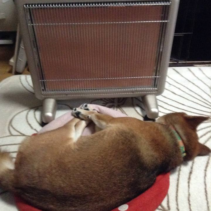 463d7c73 5d40 44d6 bf81 9964999a0d0b