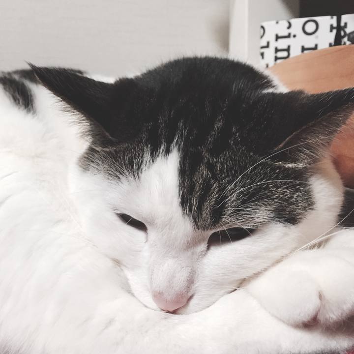 463d87e0 b095 48d6 9f3f 6ea587ece9a7