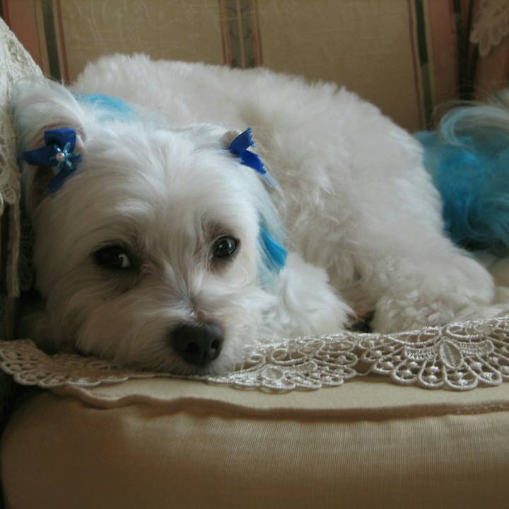 463df38d 7c77 4ddb b55f b93083303e19