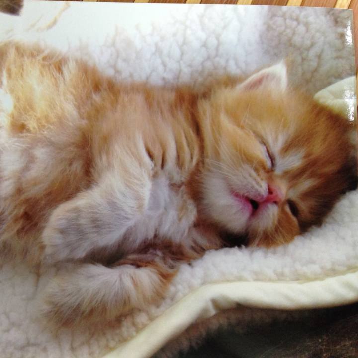 463e2a25 fb1f 4341 ad44 7c41f1ec3053