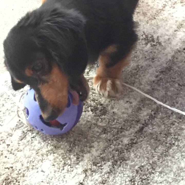 463ec55b 970e 4d88 996a 4695a85f2fe5