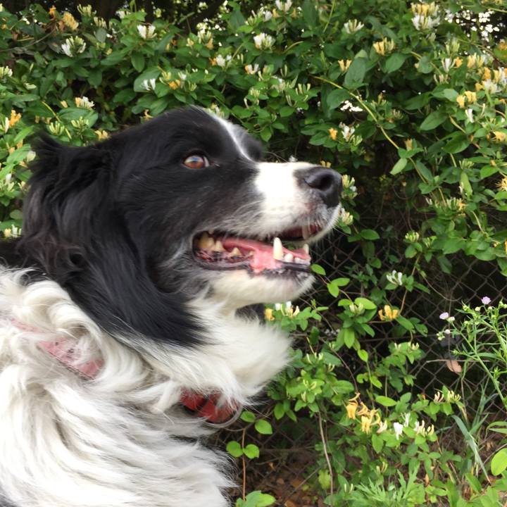 463f21ad 255e 4297 9ee3 e082eb9b4af5