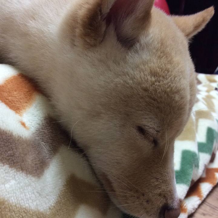 463f8b72 6090 4b19 a476 624dfb16d151