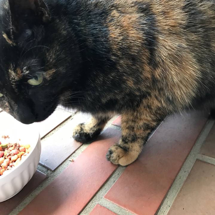 4640394e e0af 4c3c b31f 979d4891cb2e