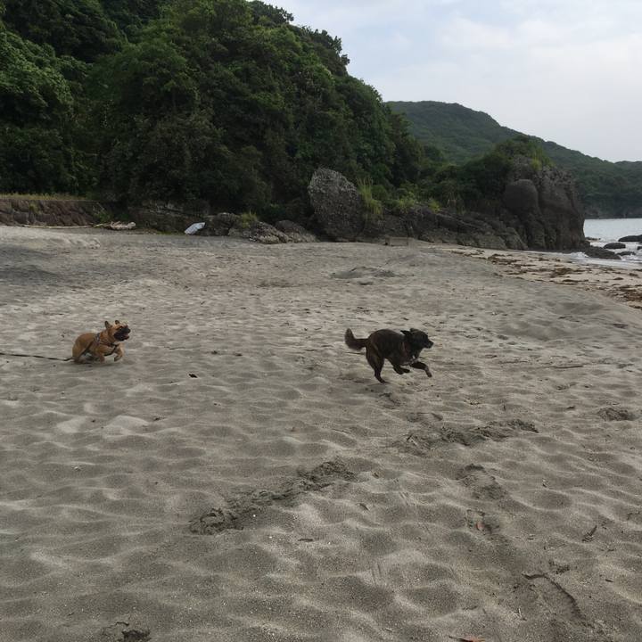 4640467a 538f 4b76 bbf5 12c1d73f3dd6