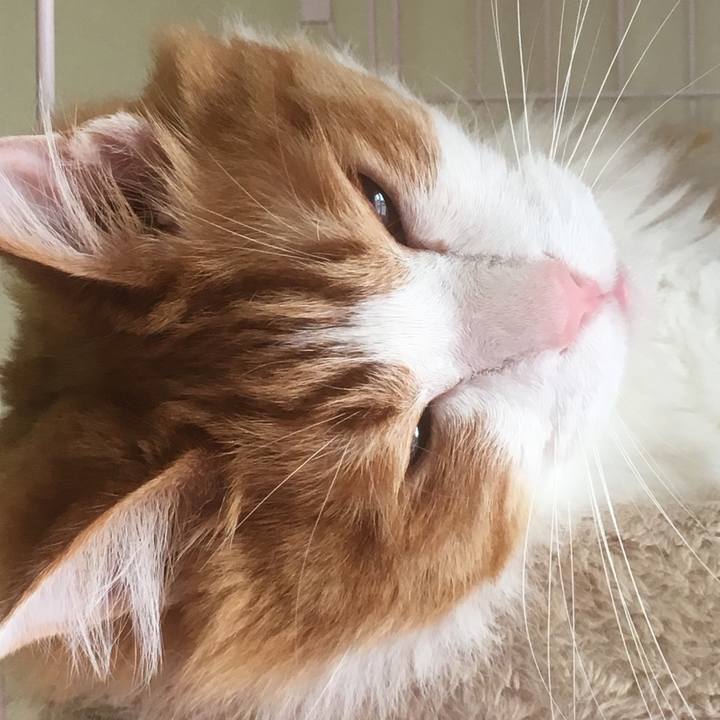 4640ef8d e002 46eb 8cff 77dea930deda