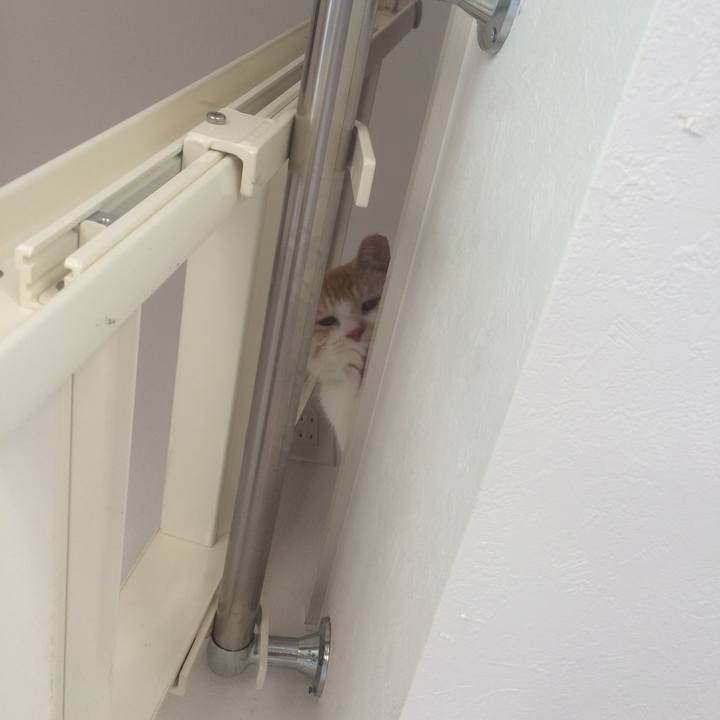 4641484c af7a 47d7 8fe2 9ad6f1843e5e