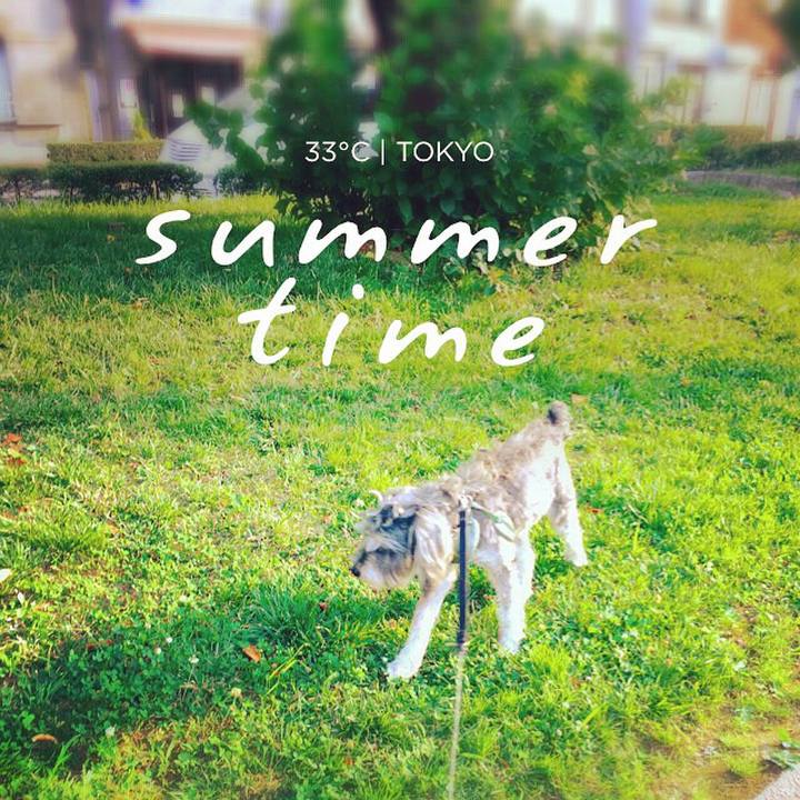 46417dcd 04b5 4163 b4cb b869c94412f7