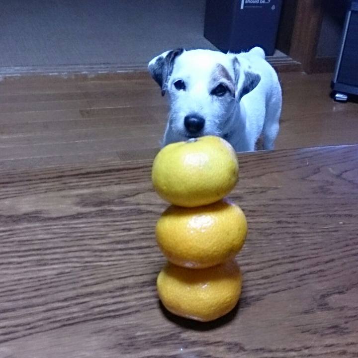 46421265 6b76 4eb5 8776 f3ab0a1c8f74