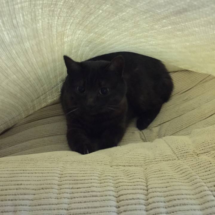 46421f3a ce47 4535 b4ea e01b5e3580c2