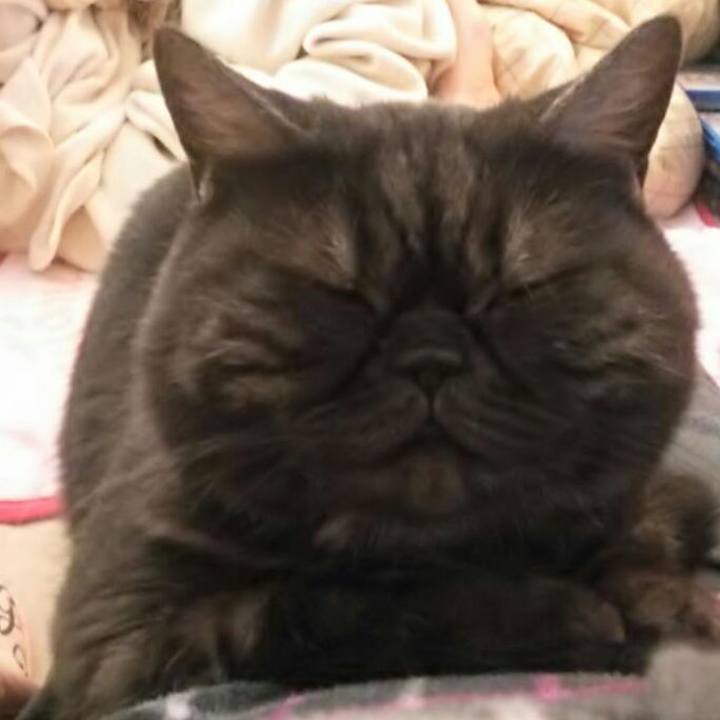 4642e1a6 9564 4f1b b6be f938c1a45454