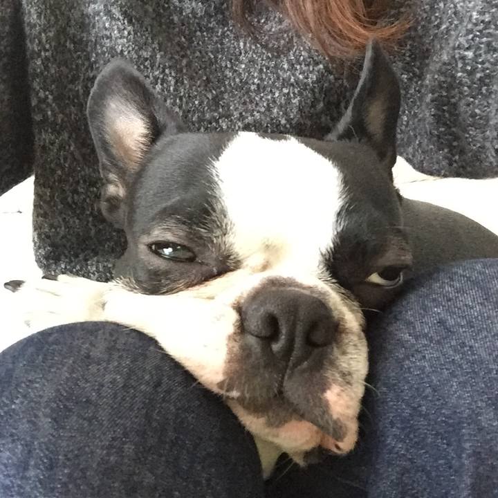 4643911d c63b 4f60 b640 30258abf3659