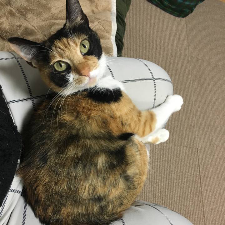 4643bebf 4822 4533 8507 0428b4aa31cd