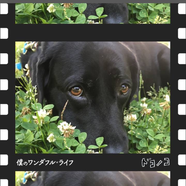 4643de59 c291 4f5d 9859 8e6b939513dc