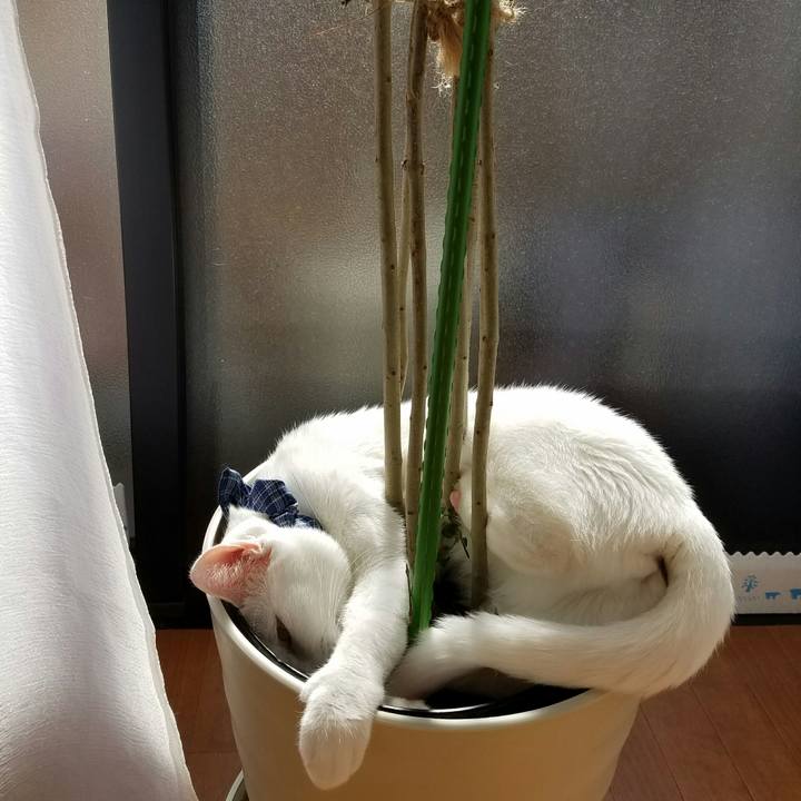 4643e1f3 e75e 46b0 b181 2a84ff7edc77