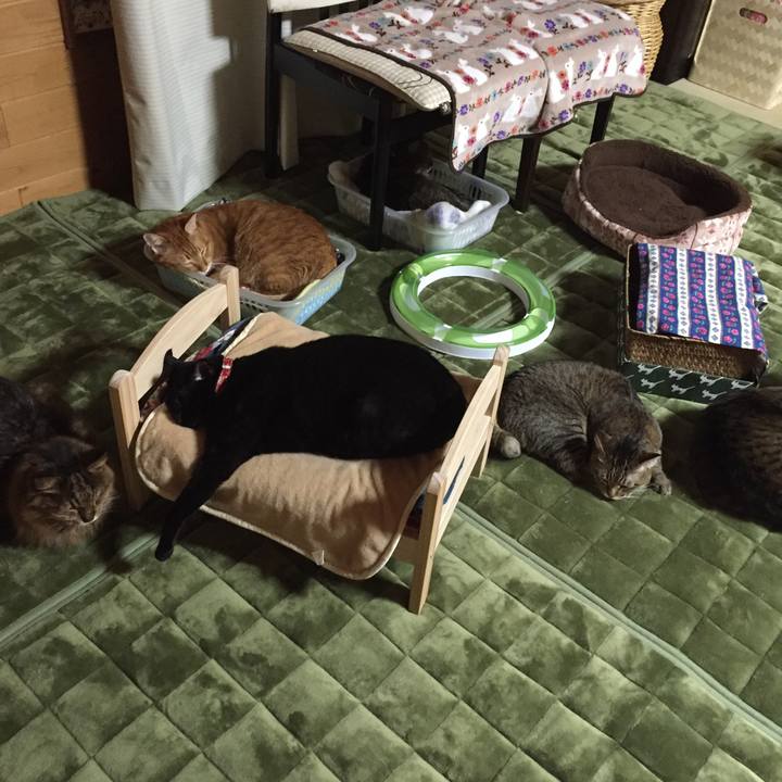 46443fee 53eb 495f 8a18 8fc5fe084ff7