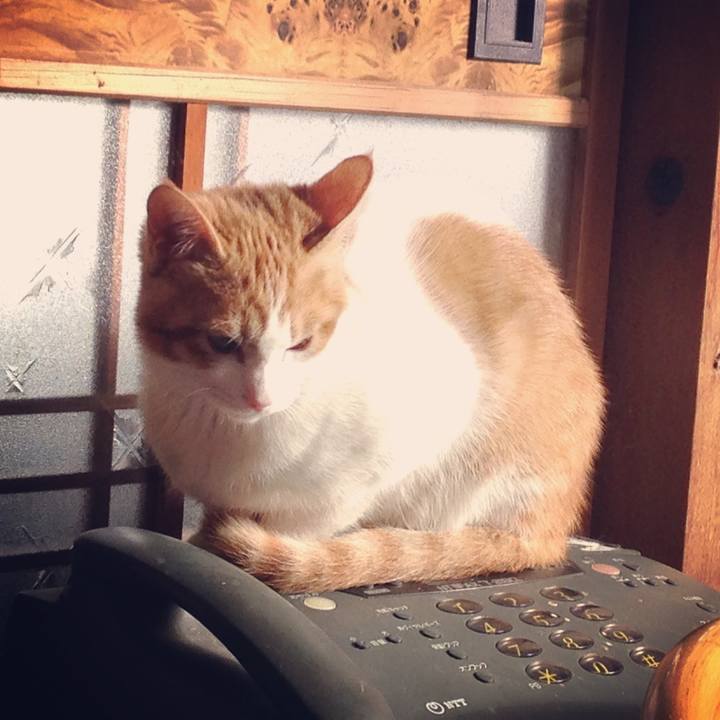 46446b0a 1eb0 44bd a050 93fad1b2b1e4