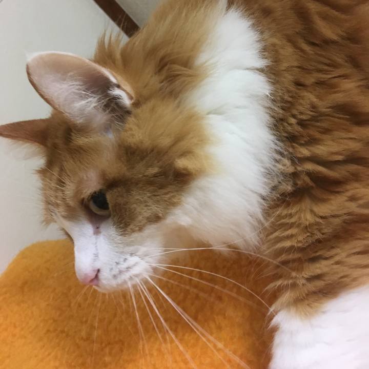 4645b922 1b06 47e6 a041 77f90c7bf3f3