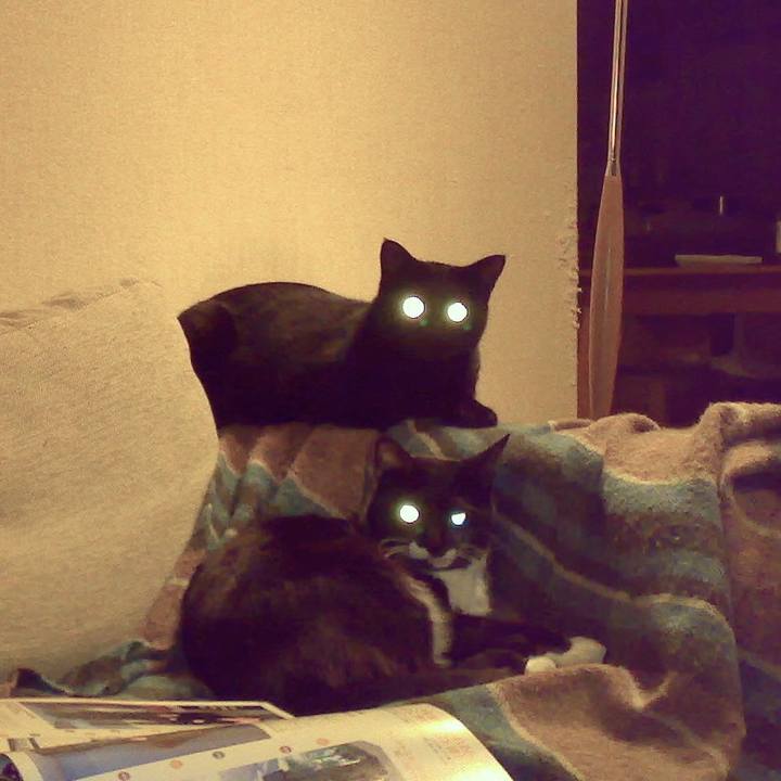 4645df51 3188 4f1f 9511 7e7aa9602414