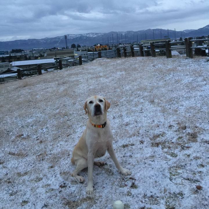 464671fd 6890 4938 8fb5 caae00ea5287