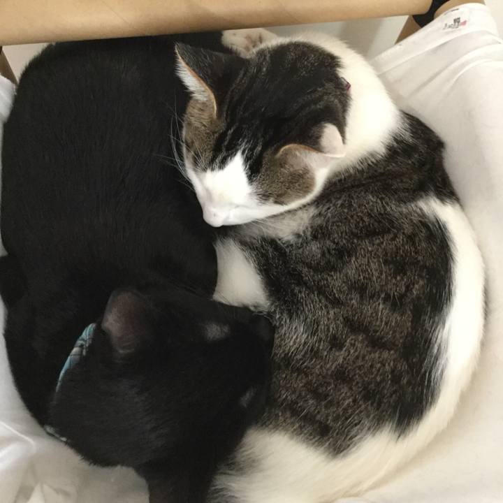 46471d14 151f 4cce bca0 0be8ebcef117