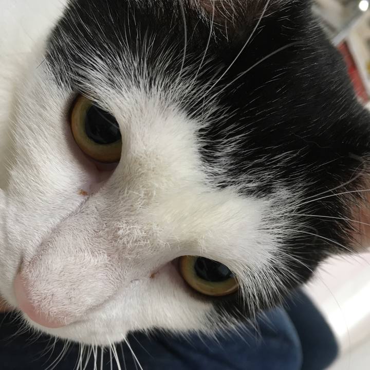 464753b7 4f59 4c5f a0bc e422ea2128fc