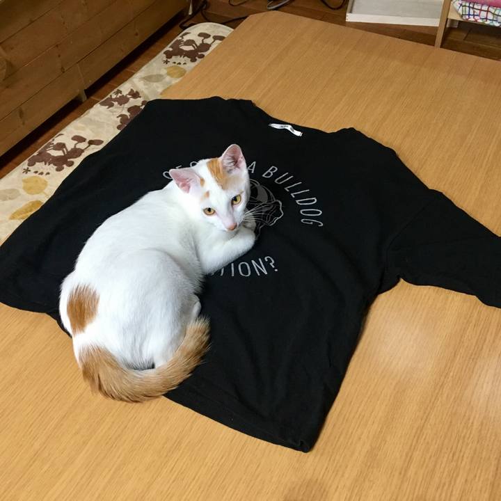 46475a6b a49e 4a45 a3b4 b2f69c84a7cd