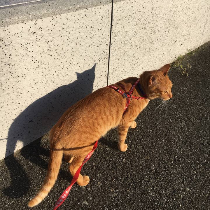 464762ff a26f 4079 936f 4e211bc54100