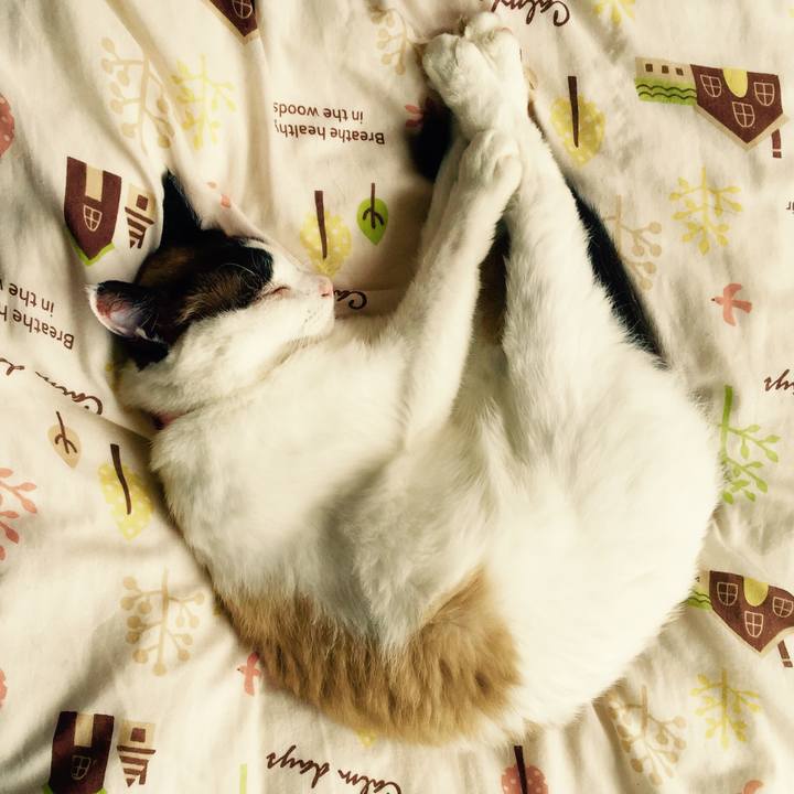 4647b125 b14e 4391 803c d35660179bd5