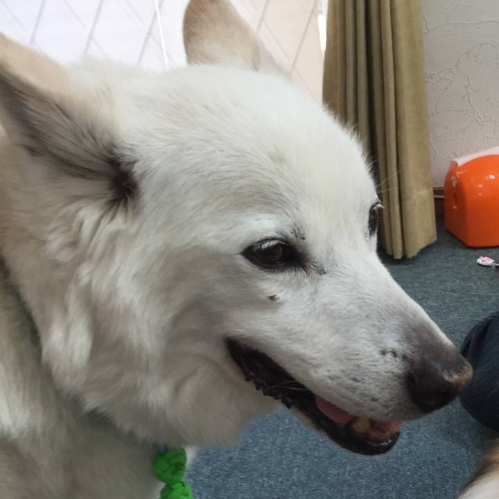 46487217 daac 4223 a35f c66bd2b400f8