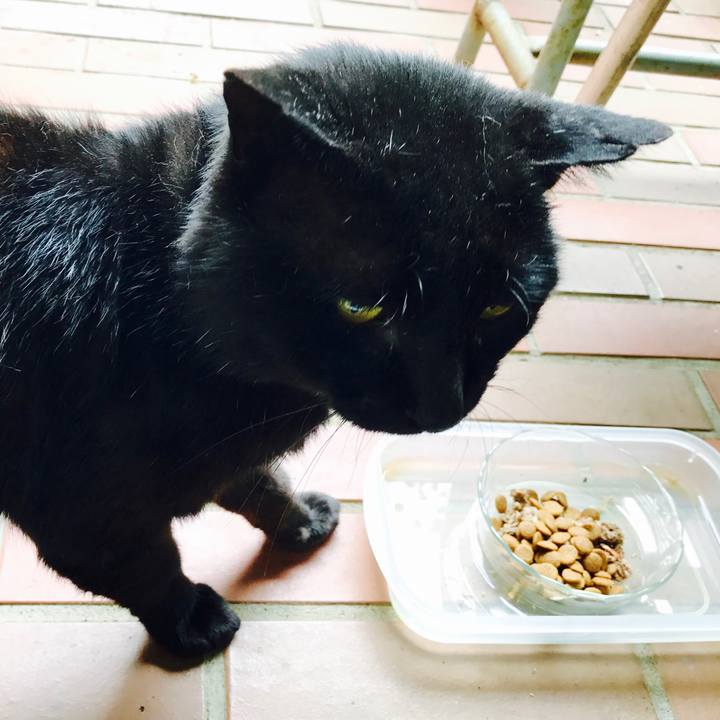 4649780a 38e4 433d b29e aba737621a97