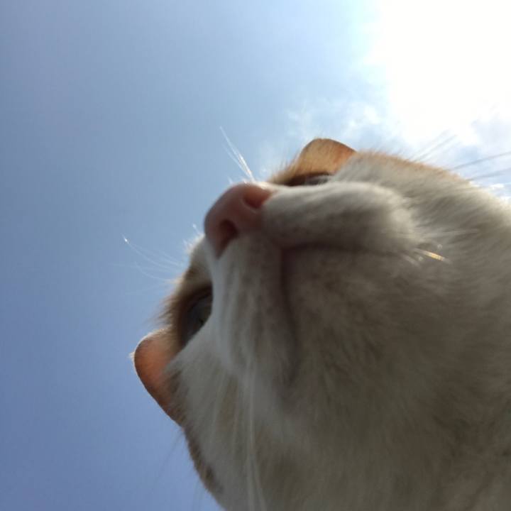 4649a0ae 9fe3 40fa 913b 79413e3e3362