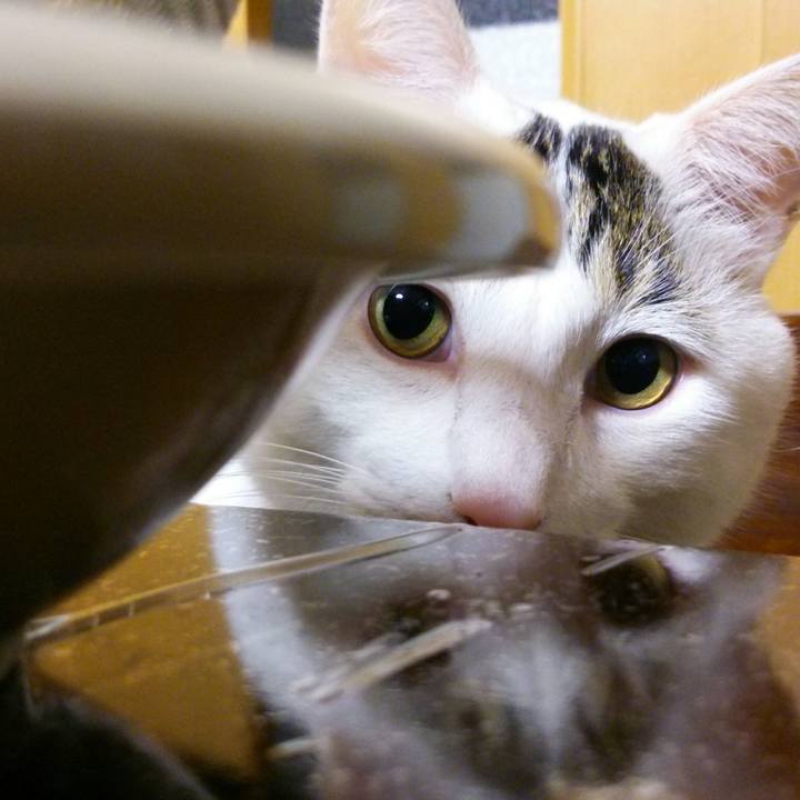 464ac27a c1af 4824 adc4 0d56a6b38f55