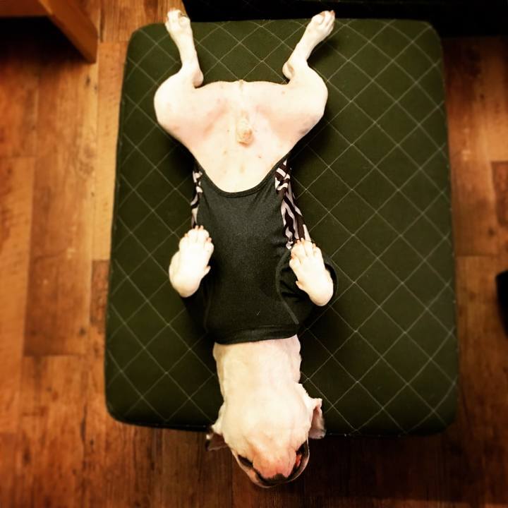 464ac362 55d0 4421 97c0 f0564ad8a73f