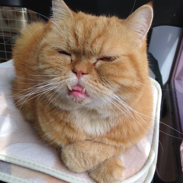 464b3750 3998 46f1 8e0f 7925c71e8224