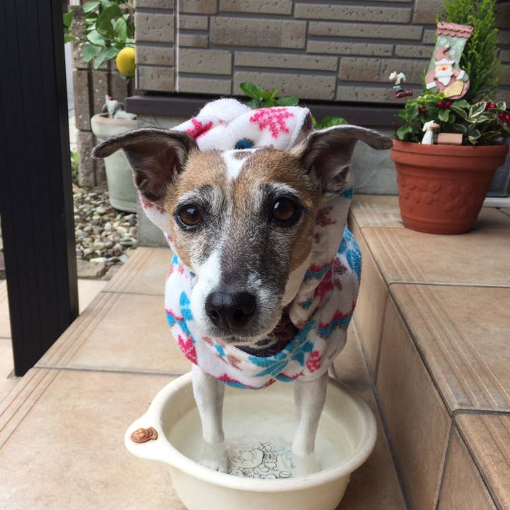 464b4b20 876a 440c 93f6 4b009fcb6839