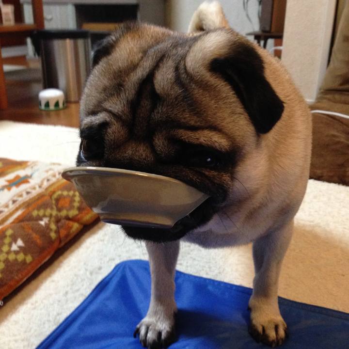 464bad3e a8d7 4a49 932b 9dd2b47de94e