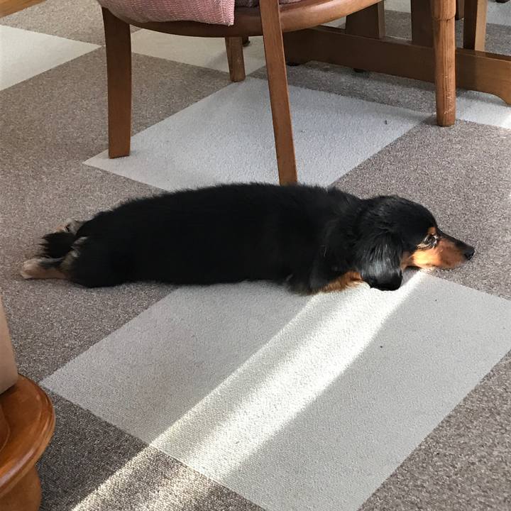 464bcc82 6174 427e 87ac 083f22b3051b