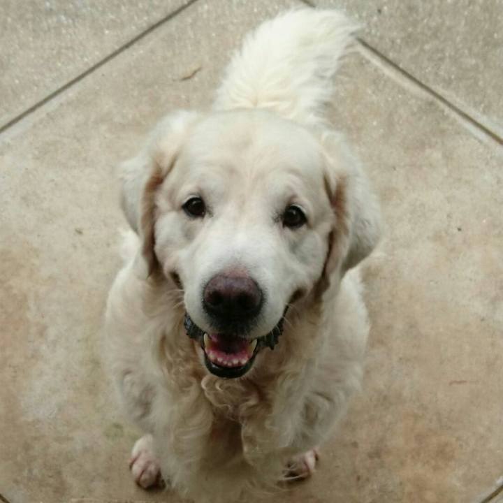 464c6771 02f0 49ad b651 aaf567e3c2dd