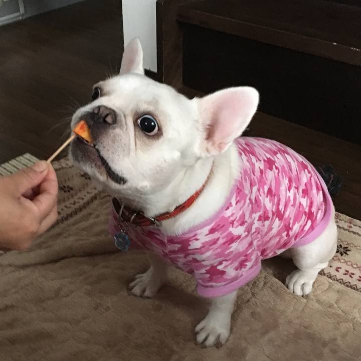 464cb17f d516 49eb 963c 088bb4646614