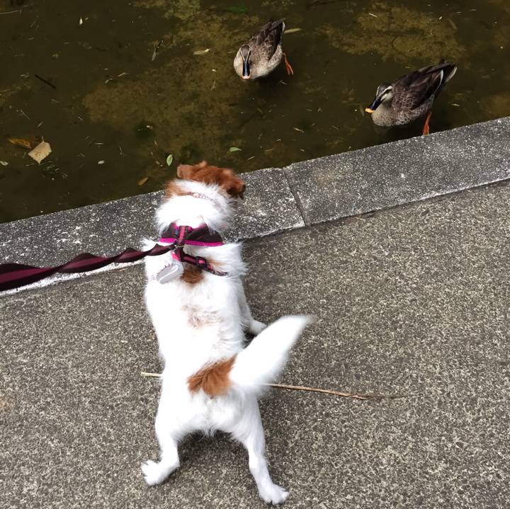 464d2f56 66d6 4d89 912a bd9c060e0f4a