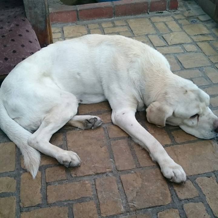 464d4a95 2d43 4f4e b85a 0dfd61e550c4